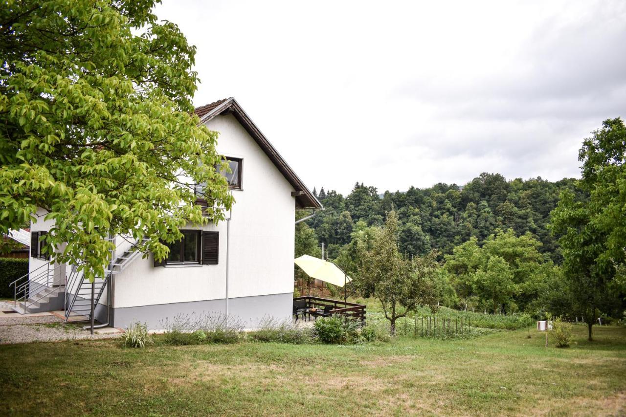 House Narta - Rastoke Apartment