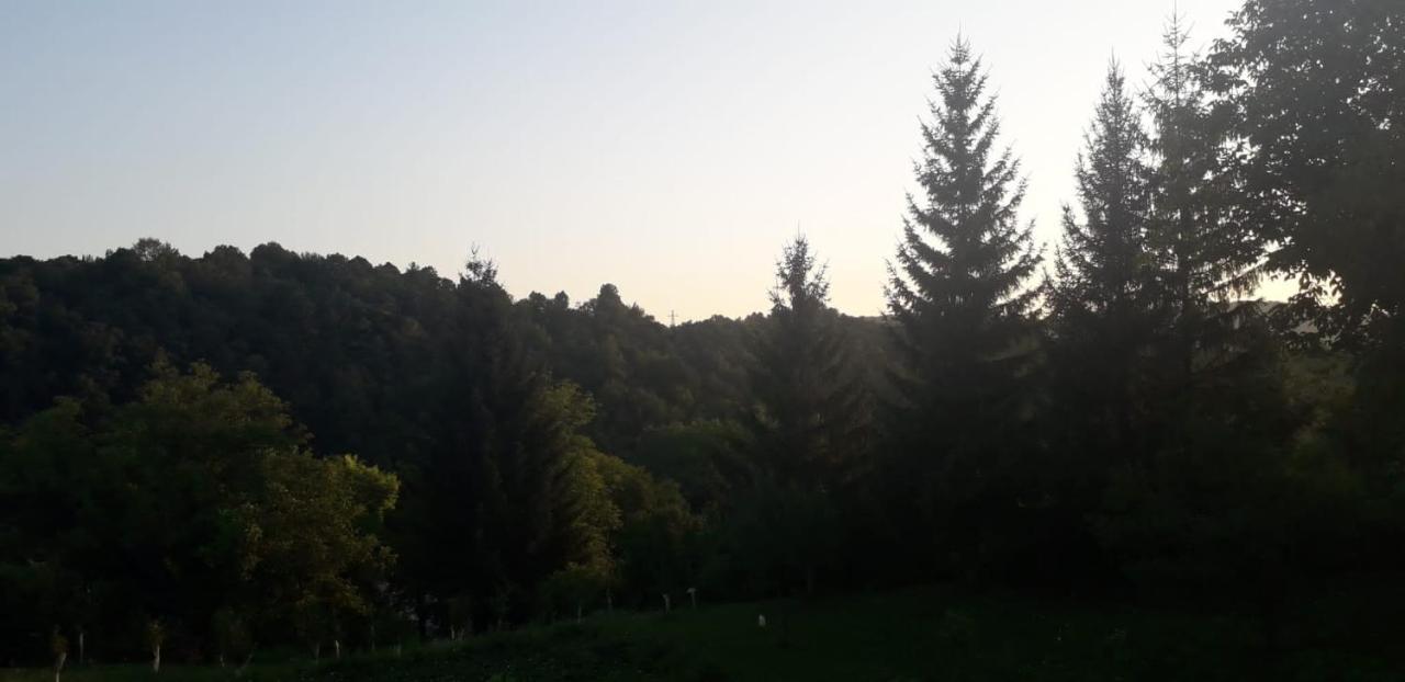 House Narta - Rastoke Slunj
